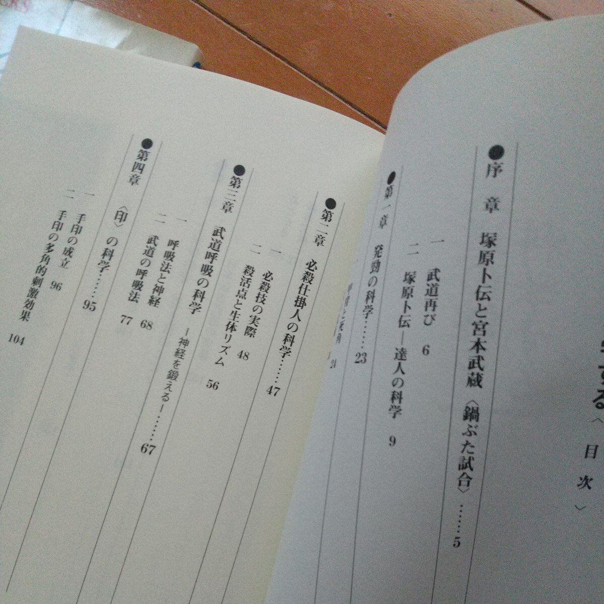 ２冊 高橋華王 武道の科学 武道の謎を科学する 初見良昭 古武道 武術 柔術 合気道 拳法 空手 護身術 大東流 少林寺拳法の画像4