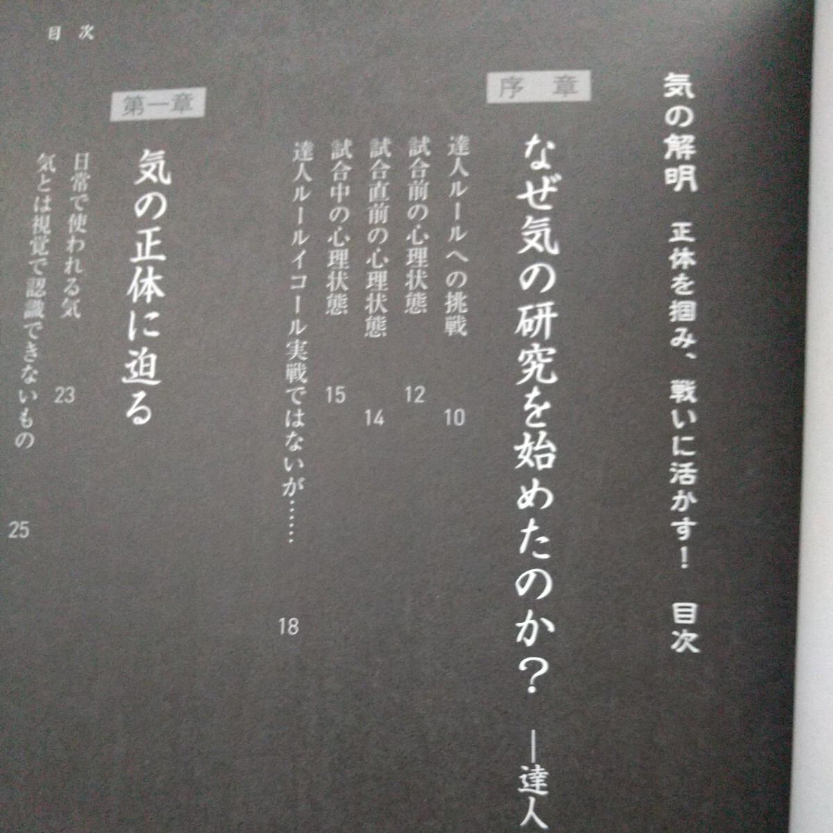 気の解明 正体を掴み、戦いに活かす! 川嶋 佑 古武道 武術 柔術 合気道 拳法 空手 護身術 大東流 剛柔流 空手道 極真 カラテの画像2