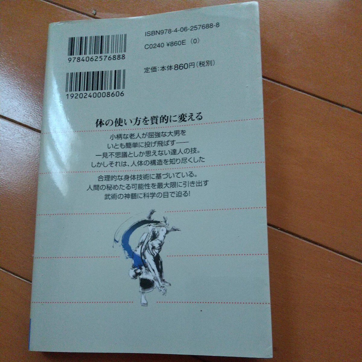 武術「奥義」の科学―最強の身体技法 古武道 武術 柔術 合気道 拳法 空手 護身術 大東流 少林寺拳法の画像10