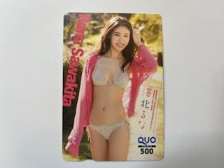  unused QUO card 500*. north ..* Young Champion 2018!
