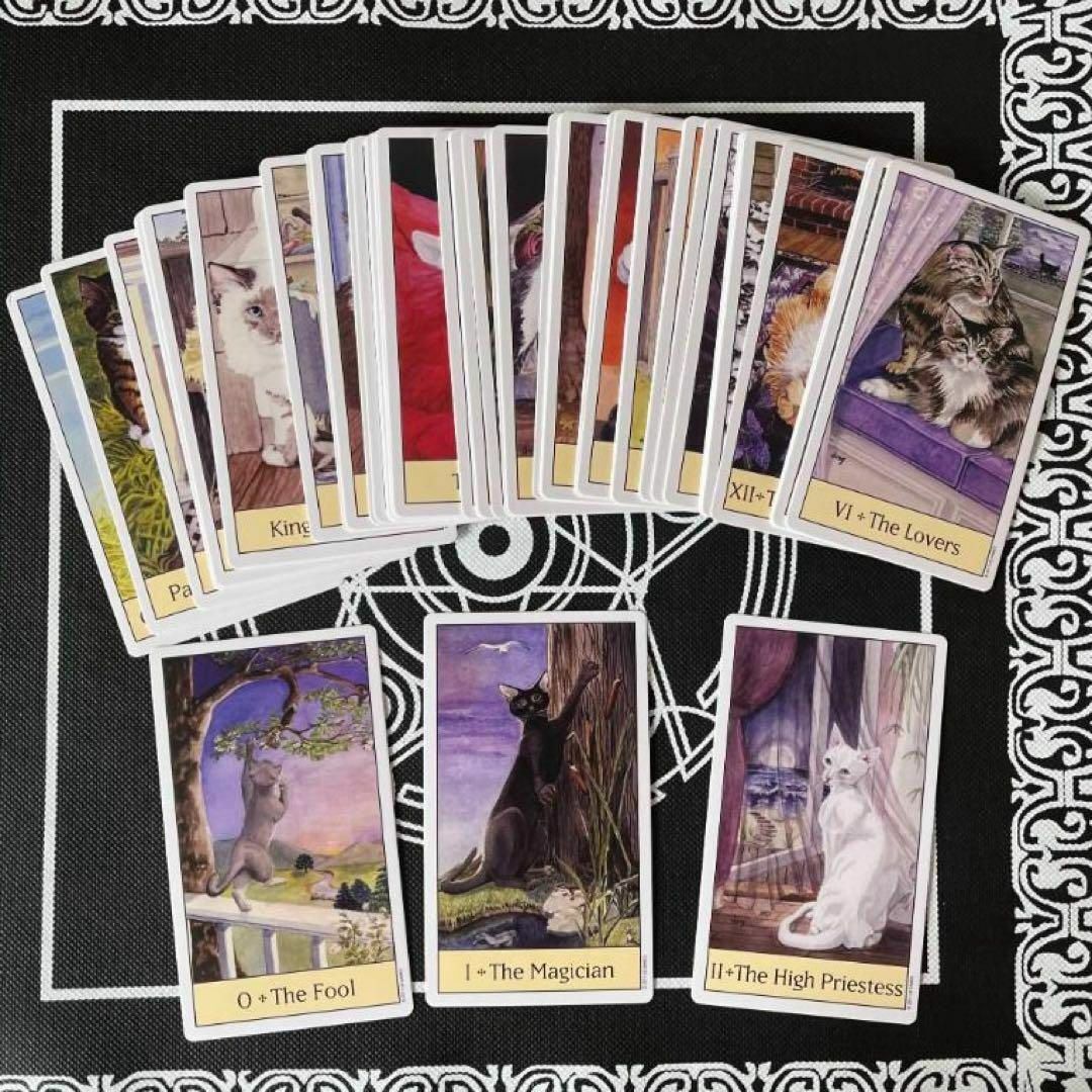 キャッツアイ タロットカード オラクル CAT'S EYE TAROT ねこ ネコ 占い 占星術_画像3