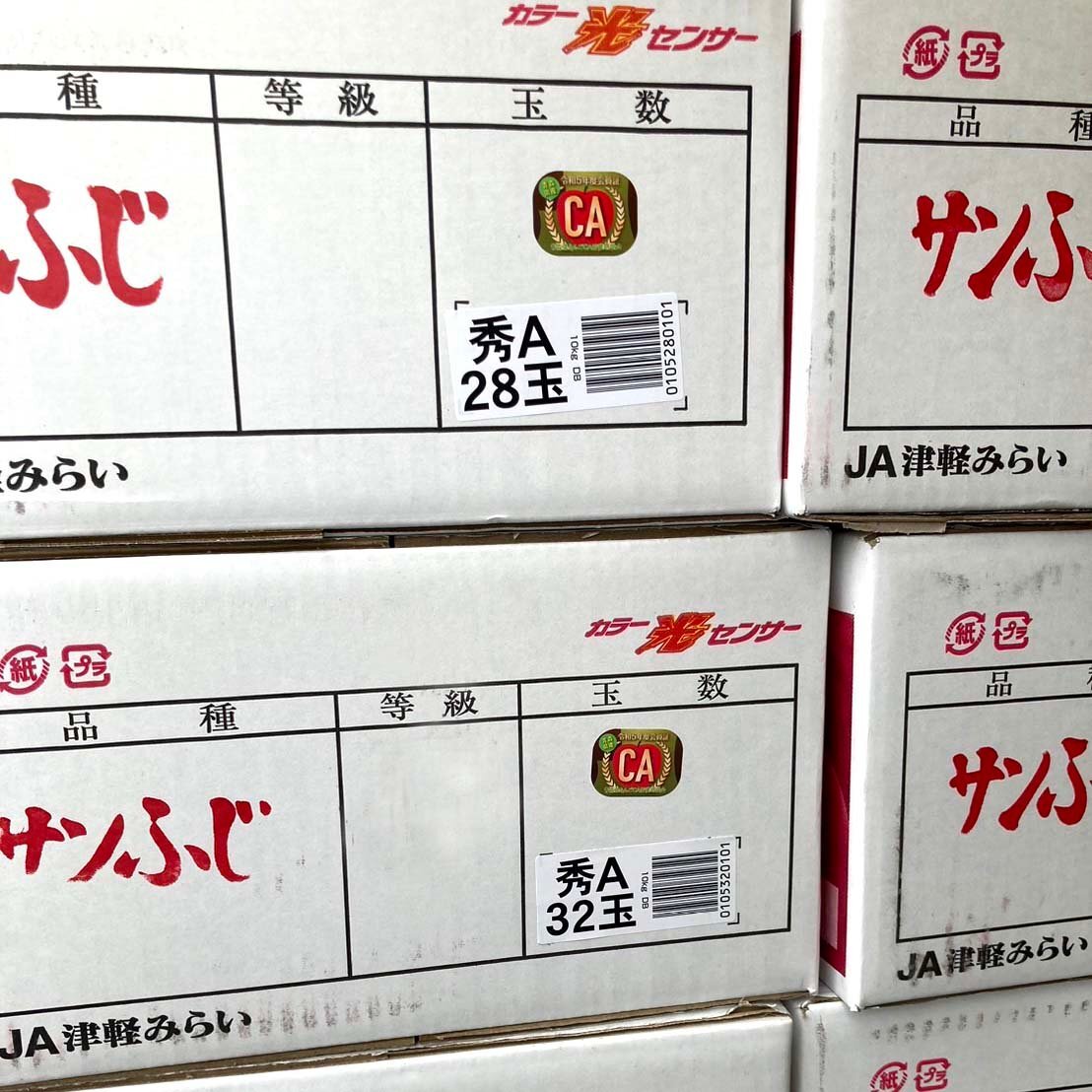 【Good】青森県JA津軽みらい CA貯蔵 光センサー『サンふじ』14～18玉 約5kg_画像4