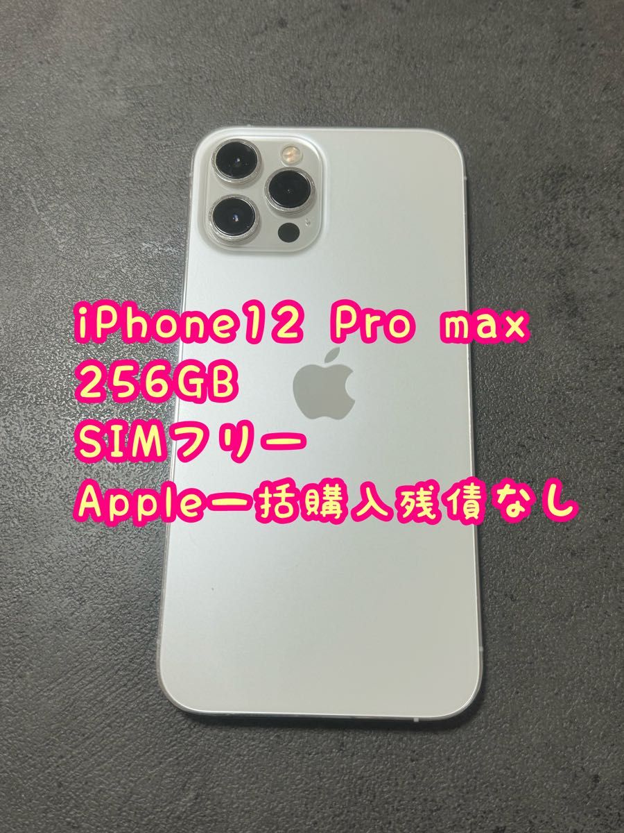 iPhone 12Pro max 256GB SIMフリー