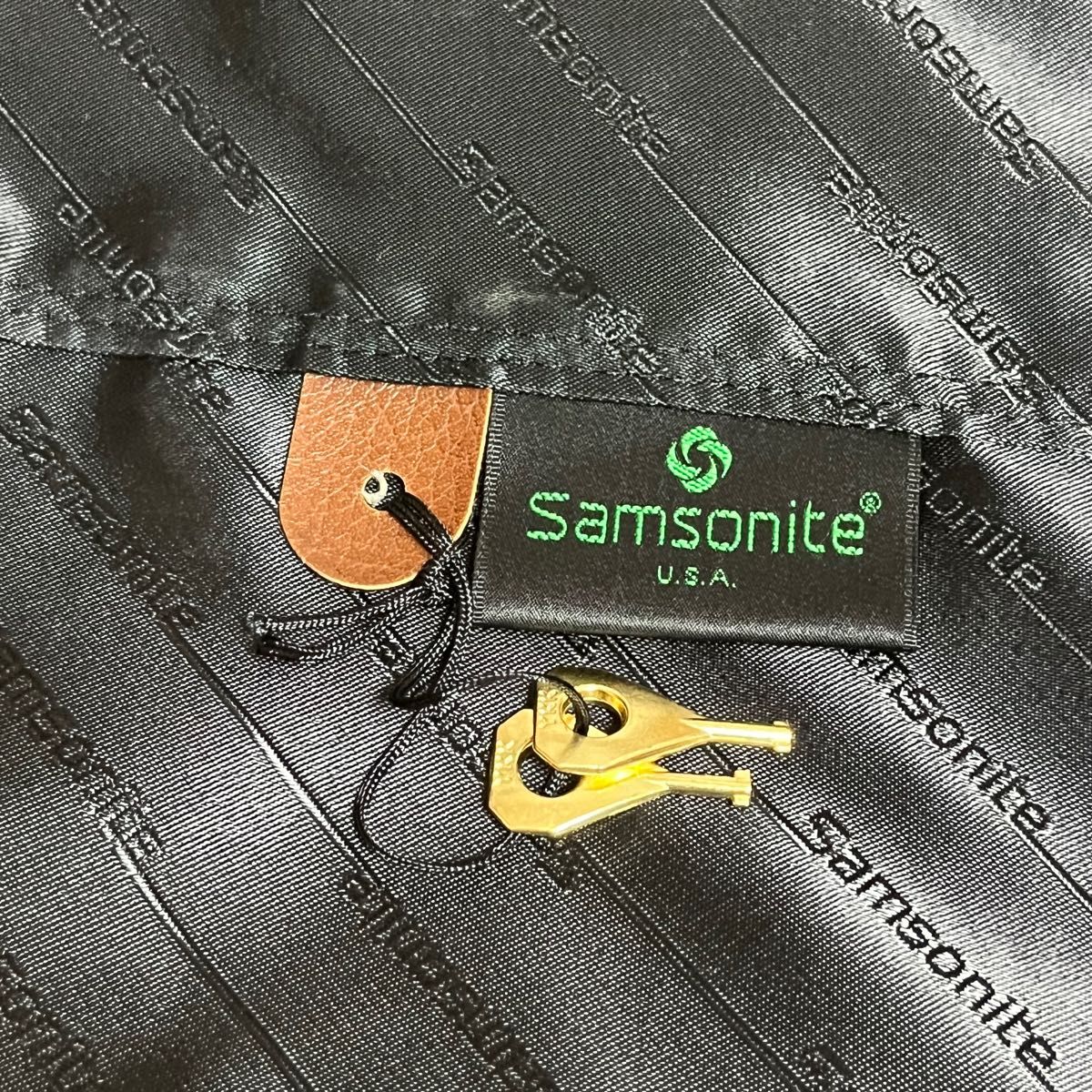 サムソナイト（Samsonite）ガーメントバッグ　 ビジネスバッグ スーツケース