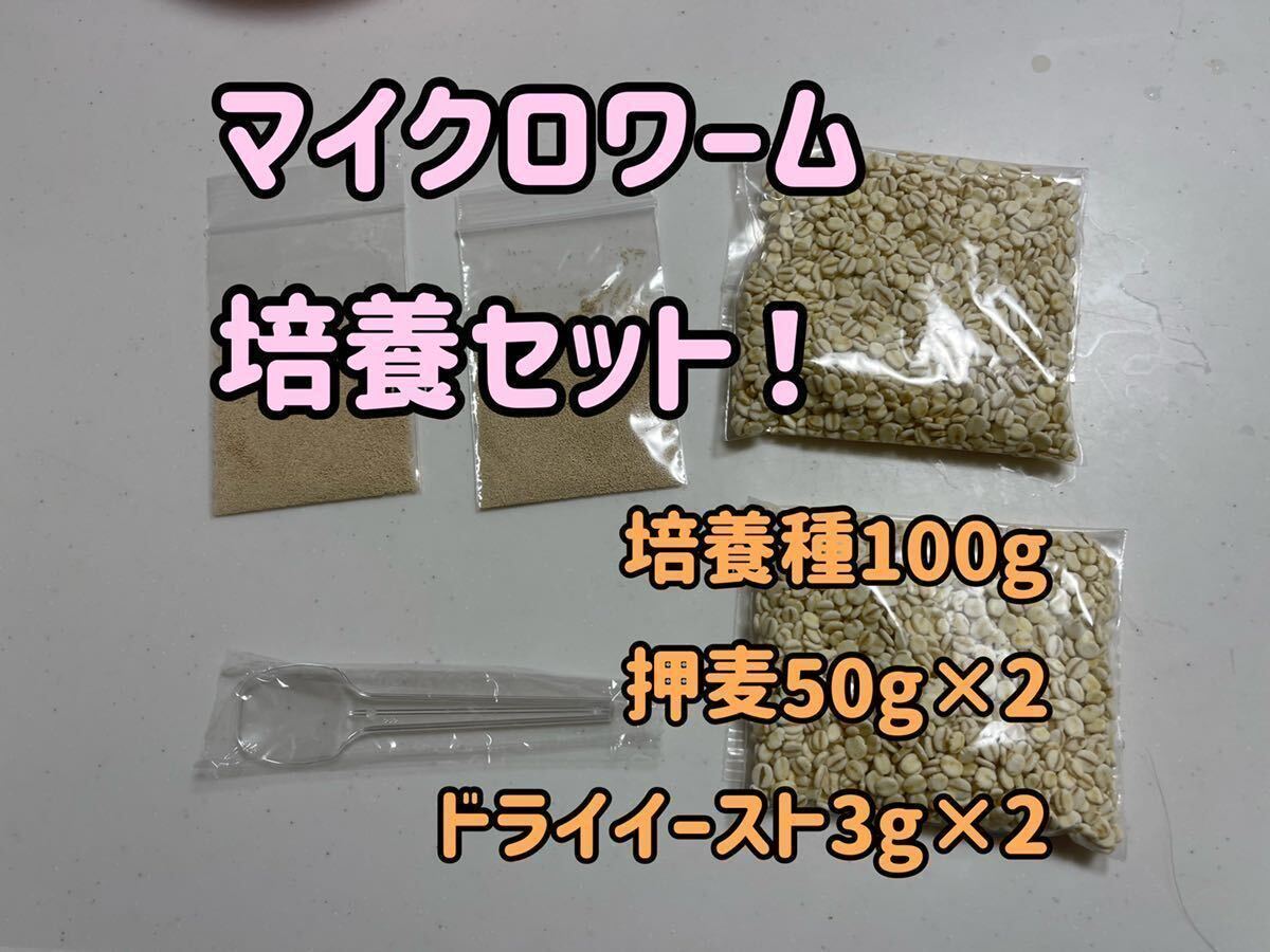 ●○送料無料！マイクロワーム種100gと押麦50gドライイースト3g2つずつ！手順書も付けます！○●の画像1