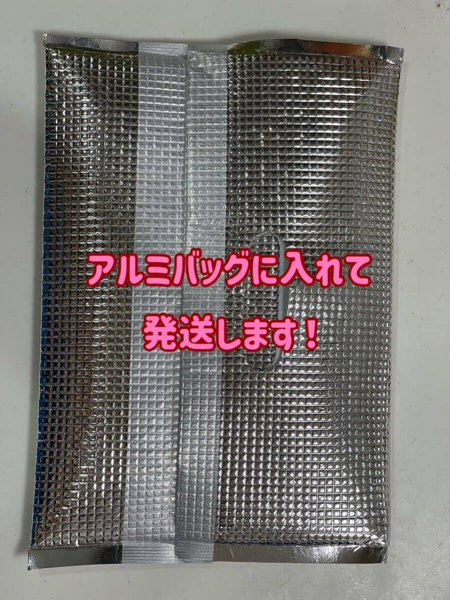 ●○ネコポス発送！ゾウリムシ約900ml！エビオス10錠付き！○● _画像3