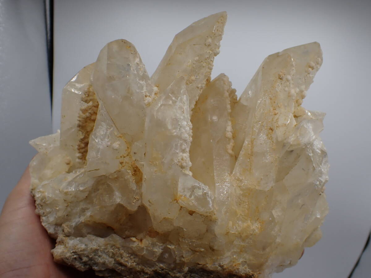 TC国産鉱物 宮崎県産 オシガハエ 巨大な水晶群晶標本 ２１９６ｇ！！の画像1