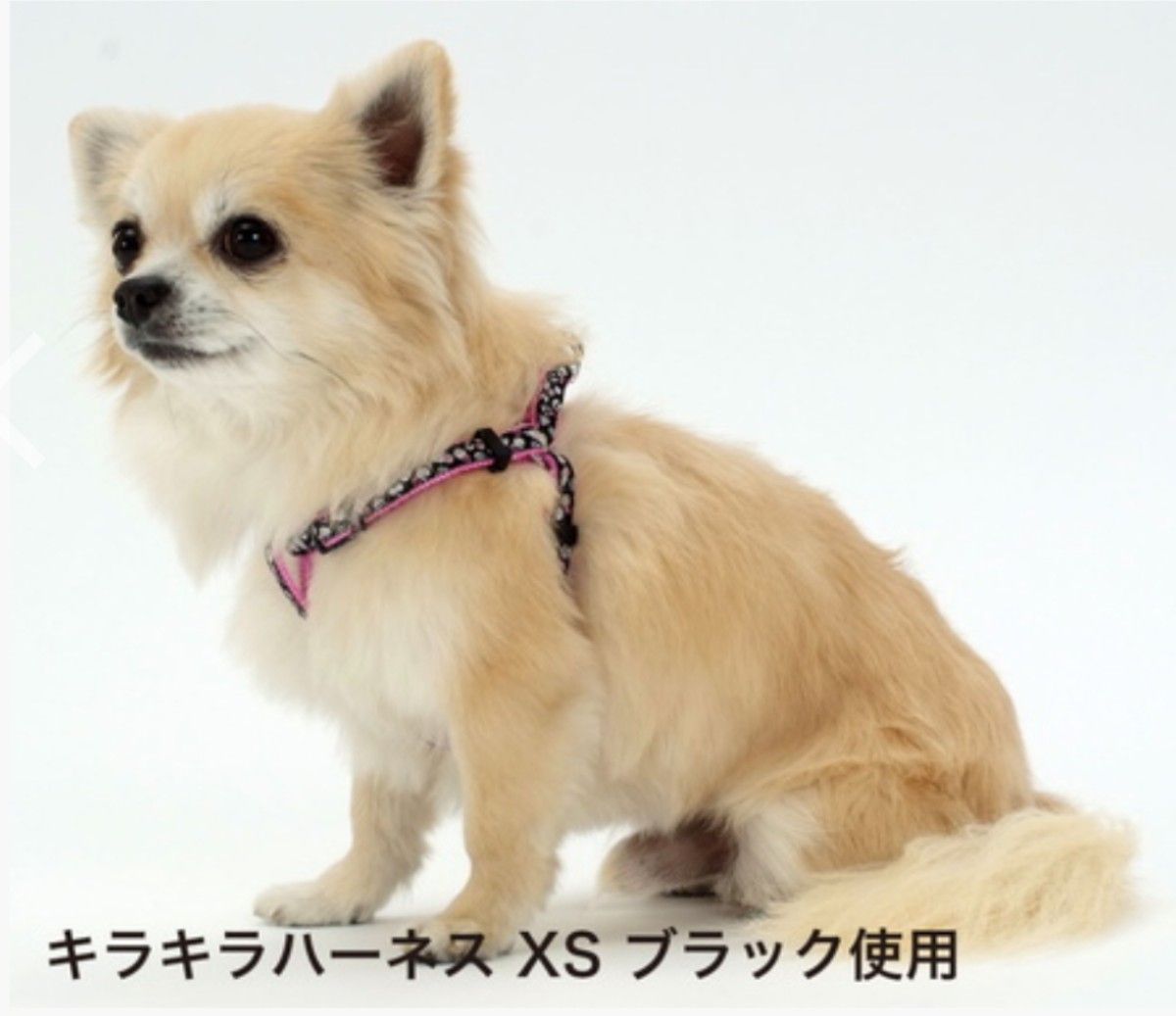 ３kgまでミニ犬◯ワンタッチ黒ピンクハートキラキラ可愛いハーネスペティオ