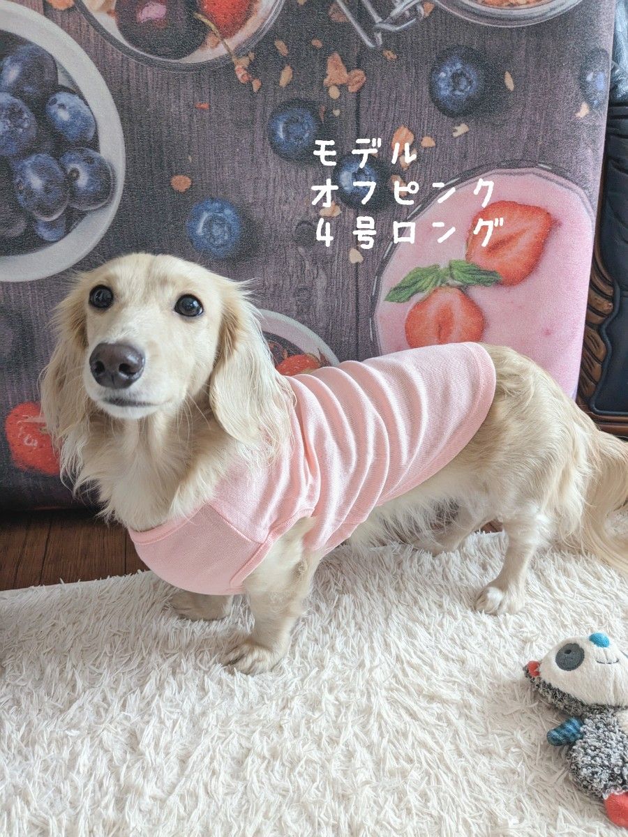 ４号小型犬◯ストレッチニットウェアー犬服トイプードルパグマルチーズシーズーオフピンクペットウェアー