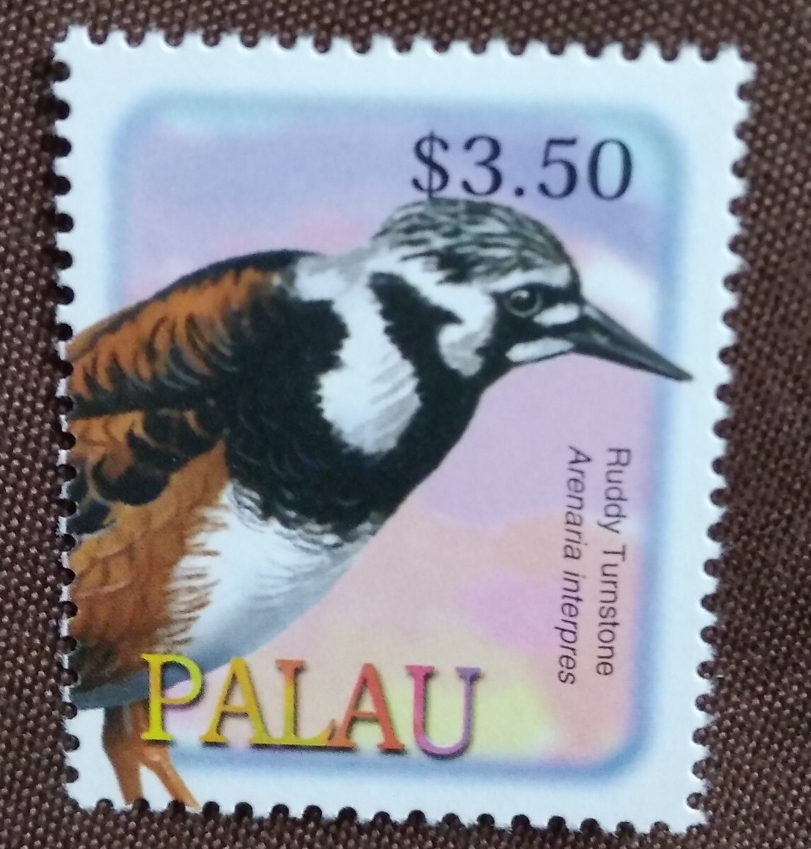 パラオ 2002 鳥 1種 シギバト 鳥類 トリ 自然 動物 未使用糊ありの画像7
