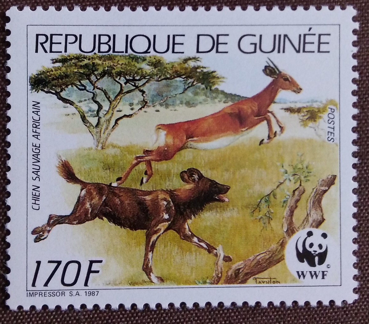 ギニア 1987 リカオン 4完 WWF （世界自然保護基金） 動物 イヌ科 自然 絶滅危惧種 未使用糊ありの画像6