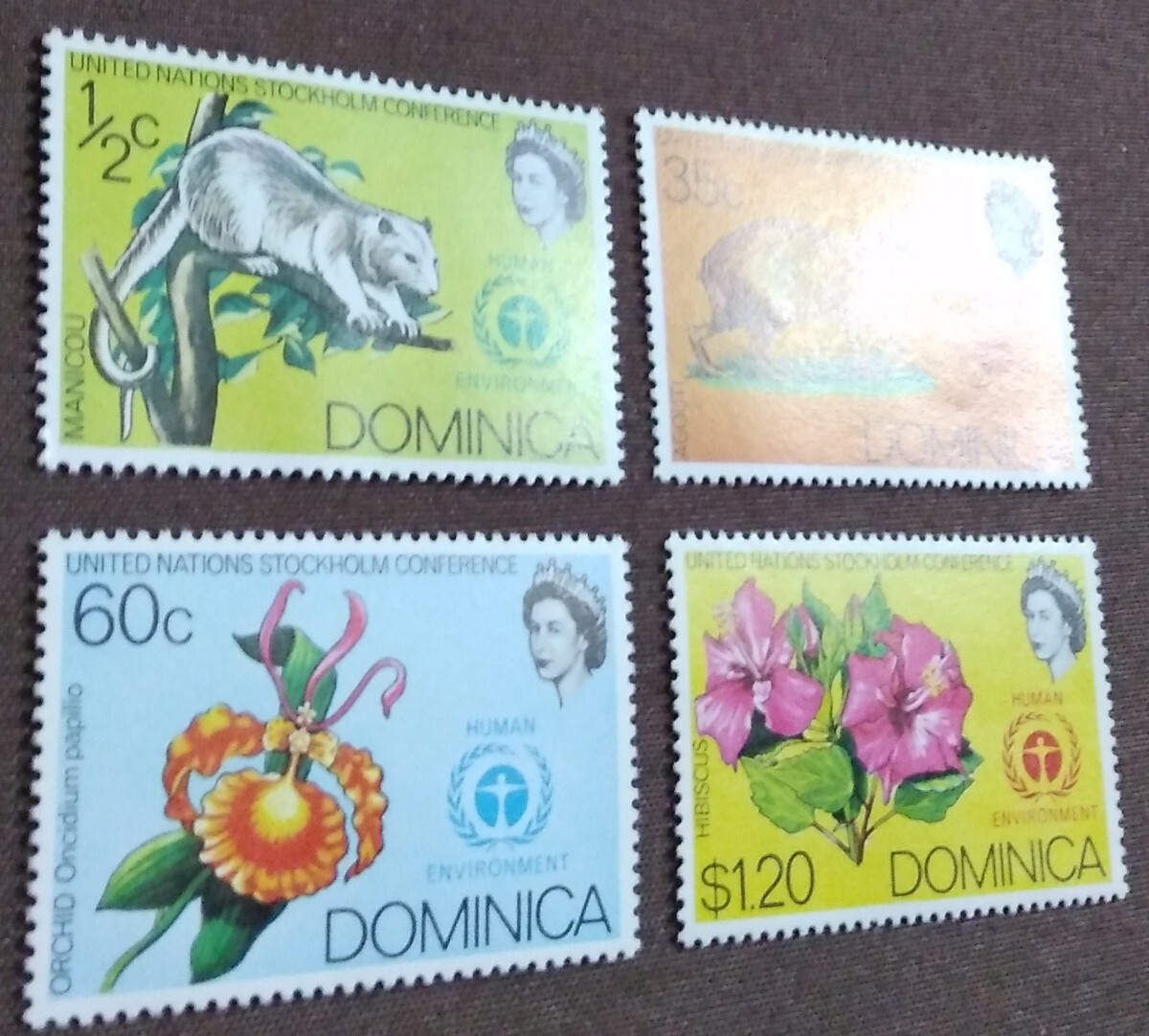 ドミニカ 1972 国連環境会議 4完 花 動物 生き物 イギリス領 エリザベス女王 未使用糊ありの画像7