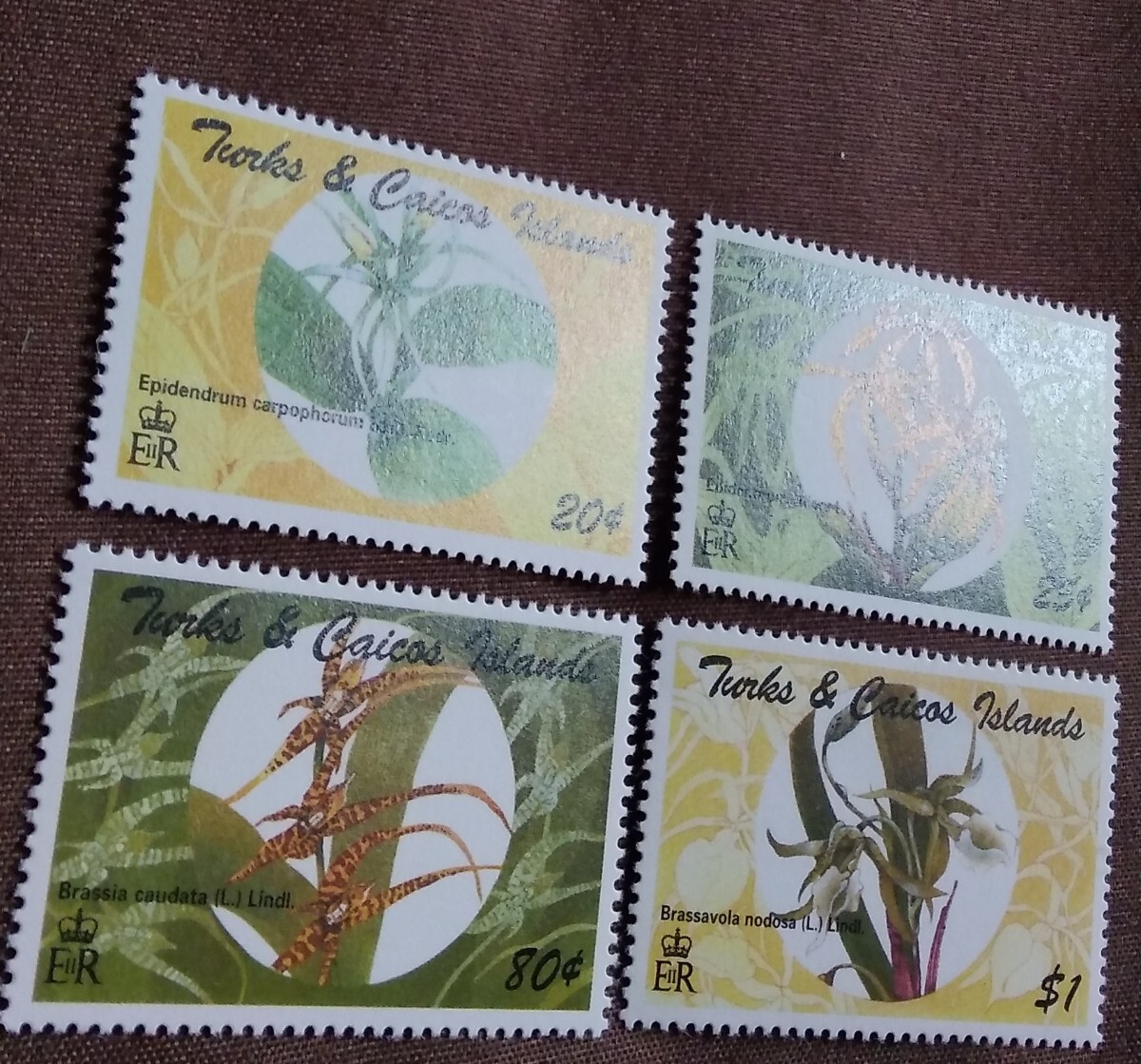 タークス・カイコス諸島 1995 蘭 4種 花 植物 自然 イギリス海外領土 未使用糊ありの画像7
