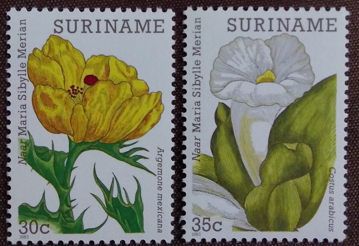 スリナム 1983 花 12完 植物 自然 はな 未使用糊ありの画像7