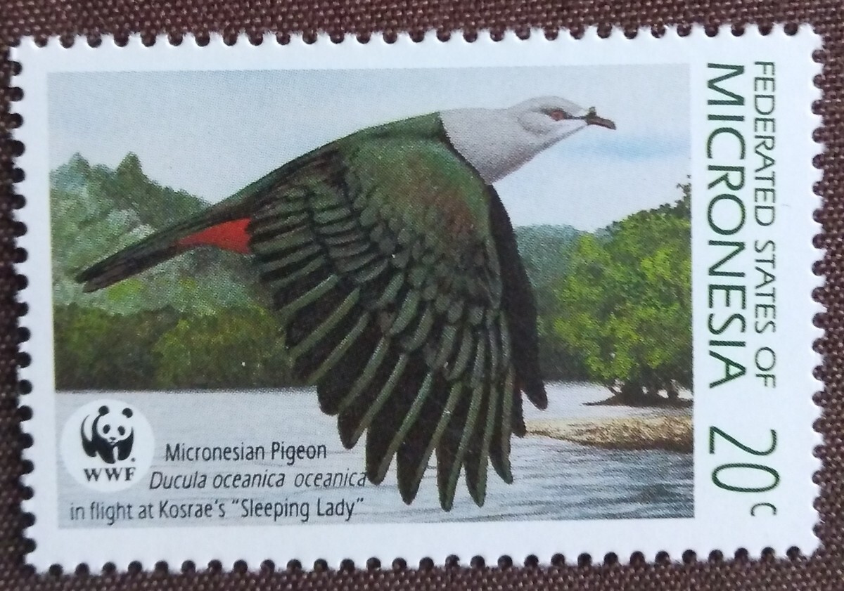 ミクロネシア 1990 鳥 WWF （世界自然保護基金） カワセミ ハト トリ 自然 鳥類 未使用糊ありの画像5