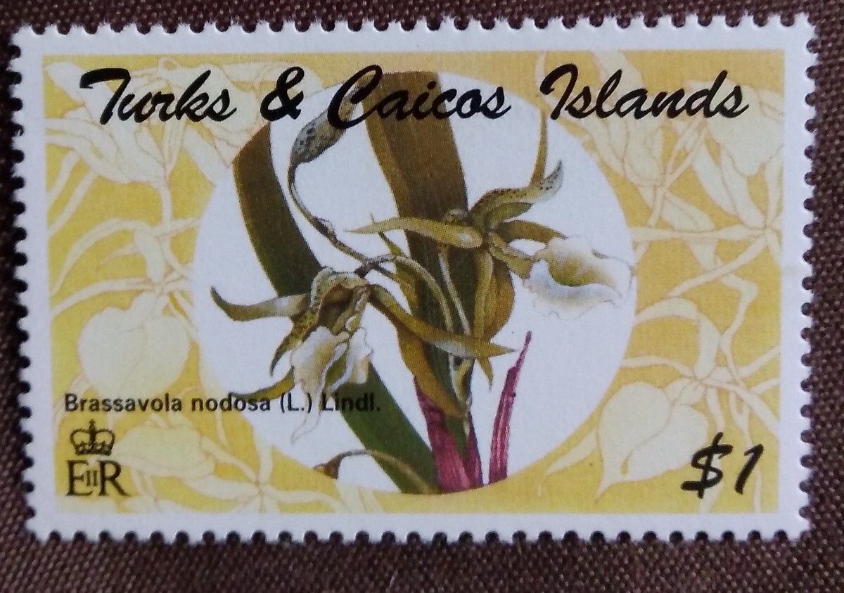 タークス・カイコス諸島 1995 蘭 4種 花 植物 自然 イギリス海外領土 未使用糊ありの画像6