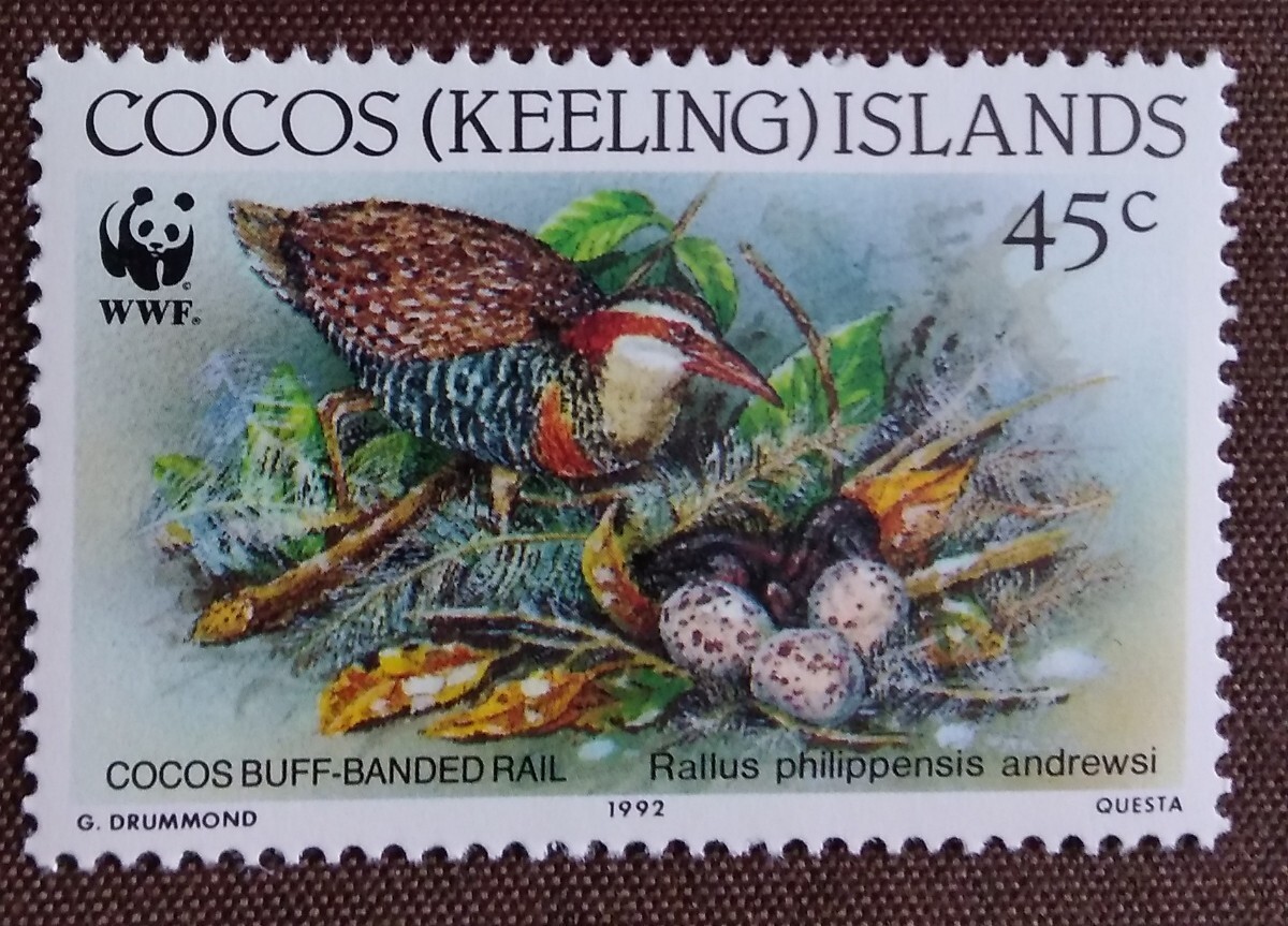 ココス諸島　1992 バフバンドレール　4完　WWF （世界自然保護基金）　鳥　クイナ　自然　オーストラリア　未使用糊あり_画像6