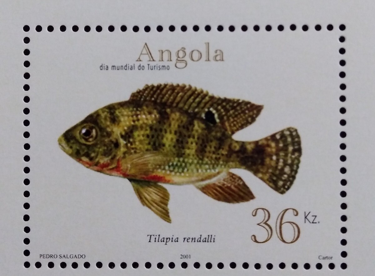 アンゴラ 2001 淡水魚 小型シート 魚 さかな 魚類 未使用糊あり 生き物の画像3