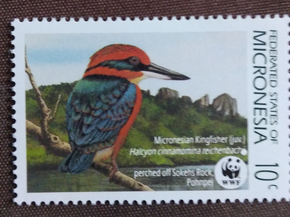 ミクロネシア 1990 鳥 WWF （世界自然保護基金） カワセミ ハト トリ 自然 鳥類 未使用糊ありの画像3