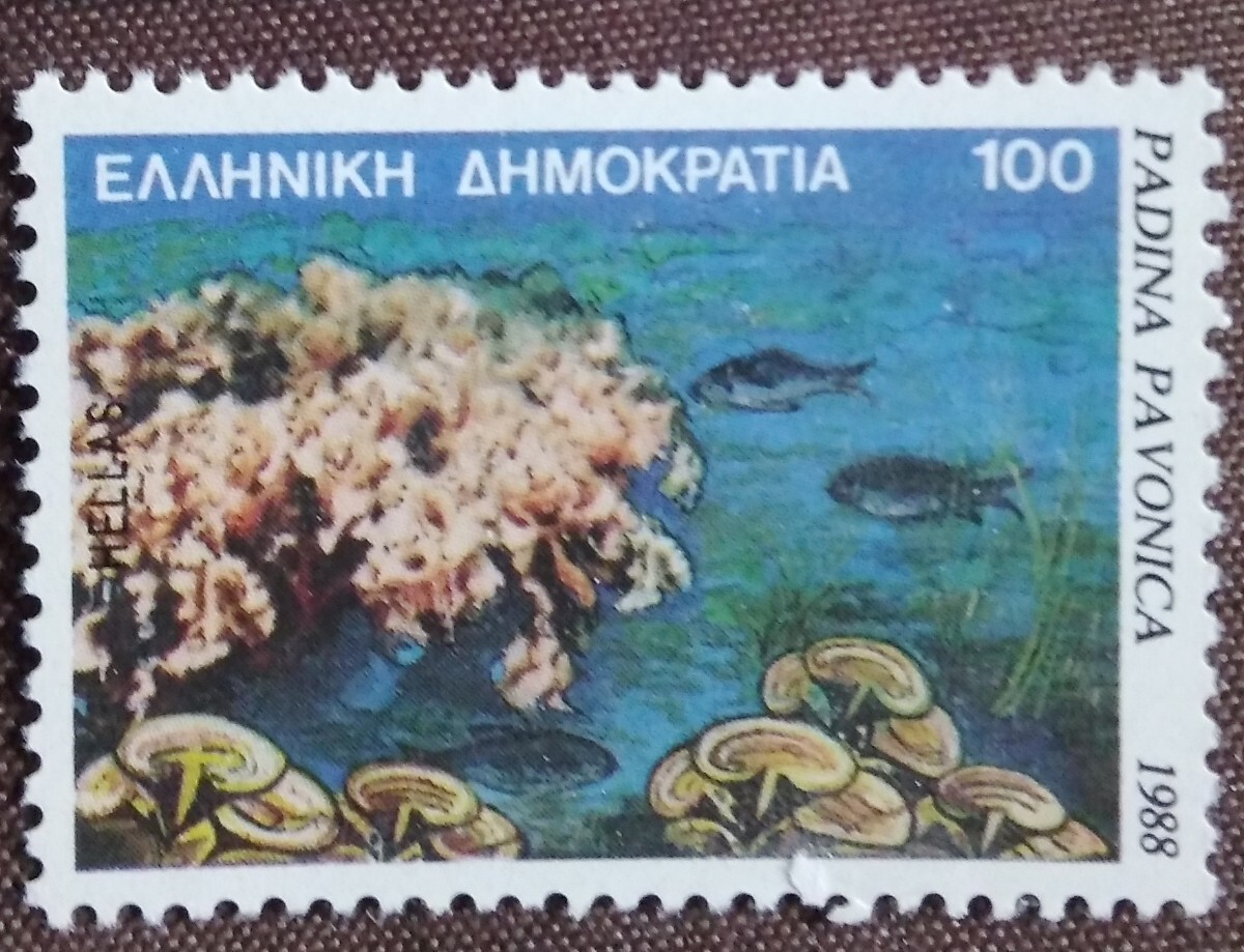 ギリシャ 1988 海洋生物 5完 魚 魚類 海 未使用糊ありの画像7
