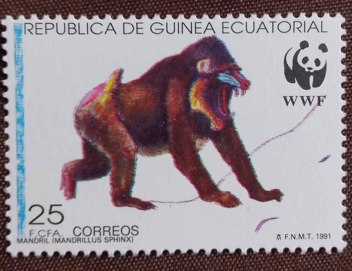 赤道ギニア 1991 マンドリル 3完 WWF （世界自然保護基金） サル 猿 哺乳類 絶滅危惧種 未使用糊ありの画像6
