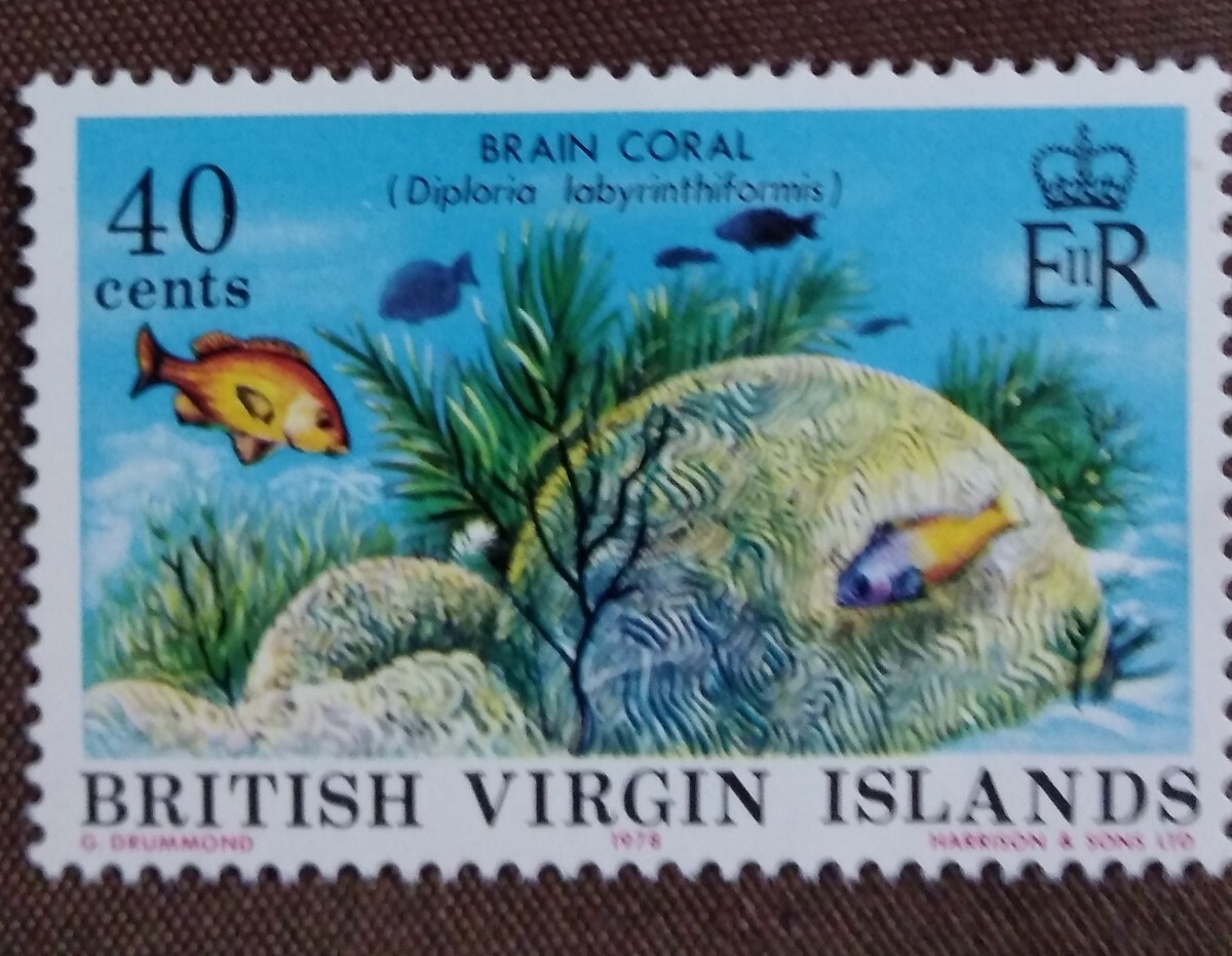  bar Gin various island 1978.2.10 coral 4. sea .. England abroad . earth unused glue equipped 