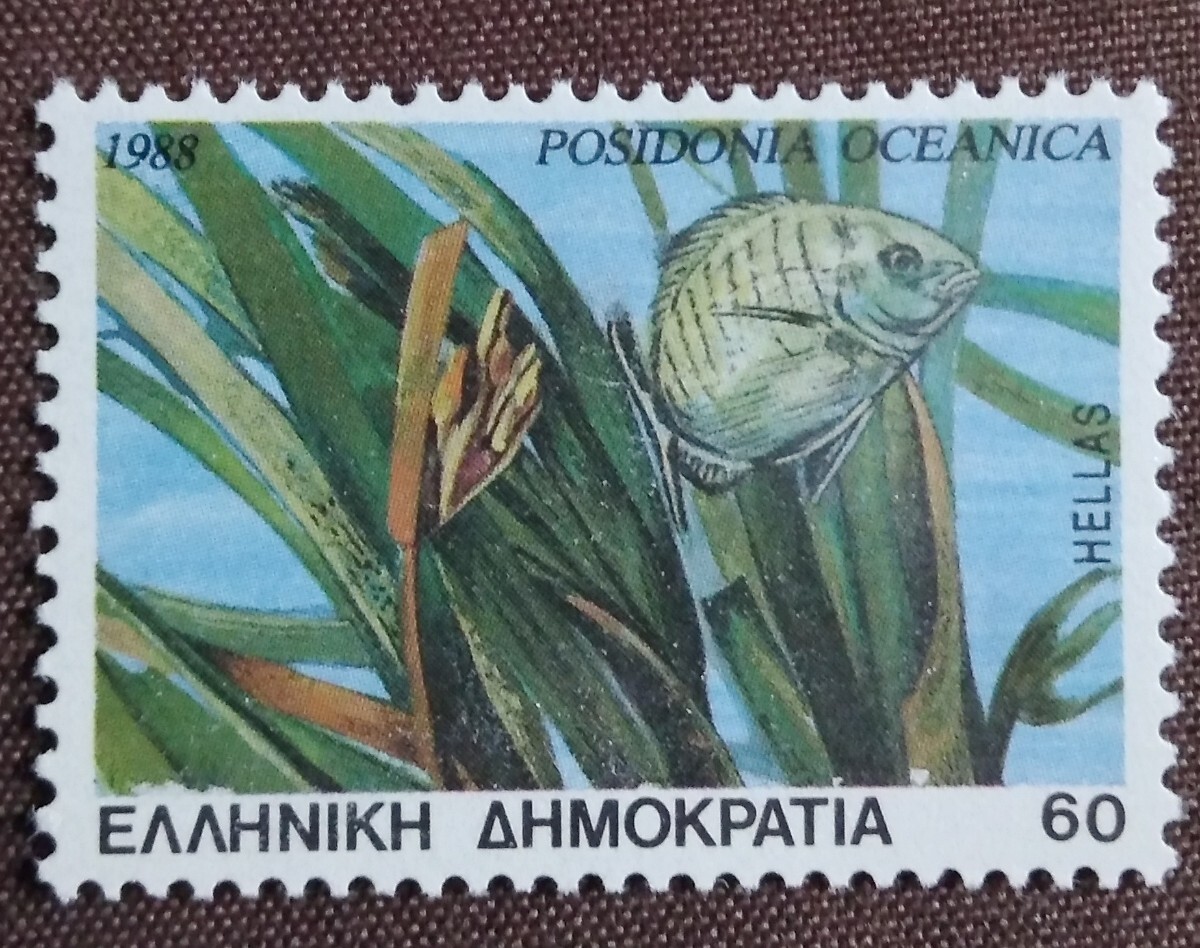 ギリシャ 1988 海洋生物 5完 魚 魚類 海 未使用糊ありの画像6