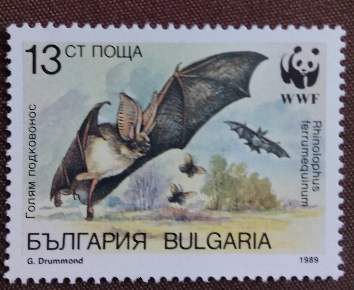 ブルガリア　1989 コウモリ　WWF （世界自然保護基金）　4完 動物　自然　未使用糊なし_画像4