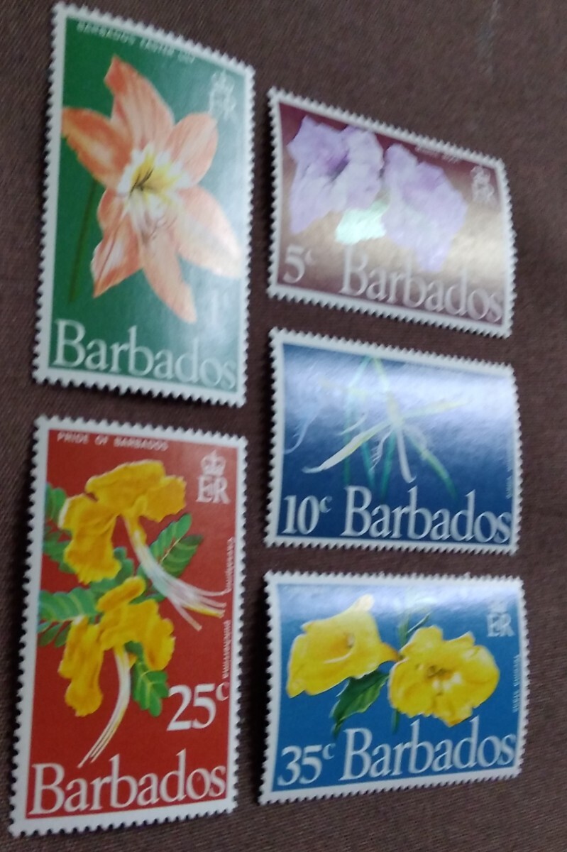  England . bar bados1970 flower 5. plant nature lily unused glue equipped 