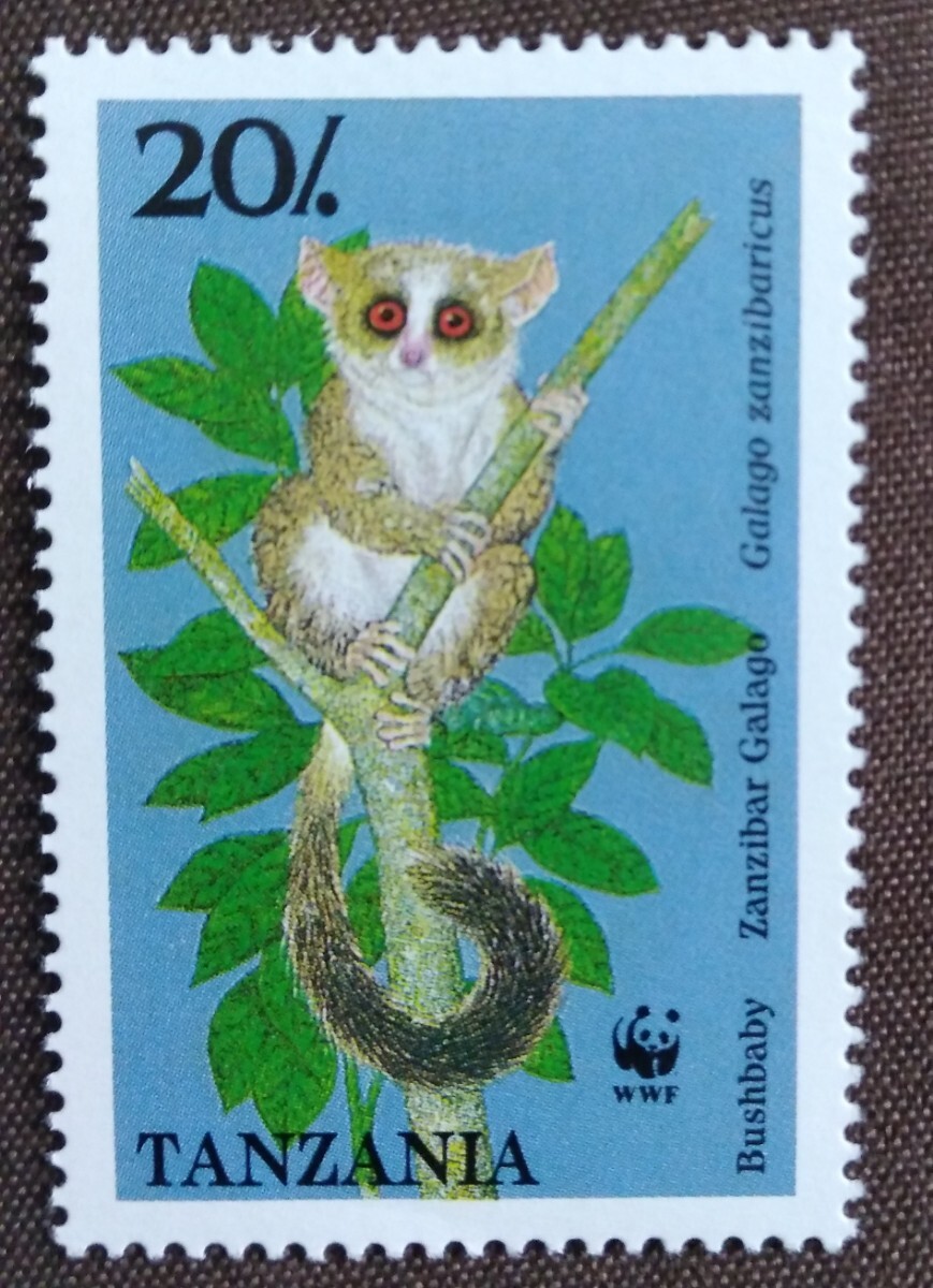 タンザニア 1989 ガラゴ WWF （世界自然保護基金） サル 猿 自然 哺乳類 未使用糊ありの画像6