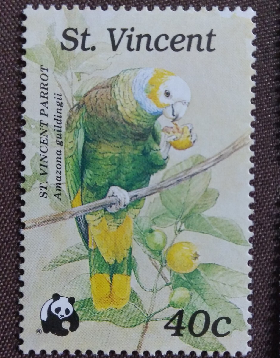 セントビンセント 1989 鳥 4完 WWF （世界自然保護基金） オウム インコ 自然 未使用糊ありの画像3