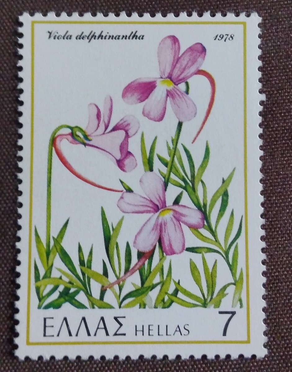 ギリシャ　1978 花　4種 植物　草花　自然　野草　未使用糊あり_画像6