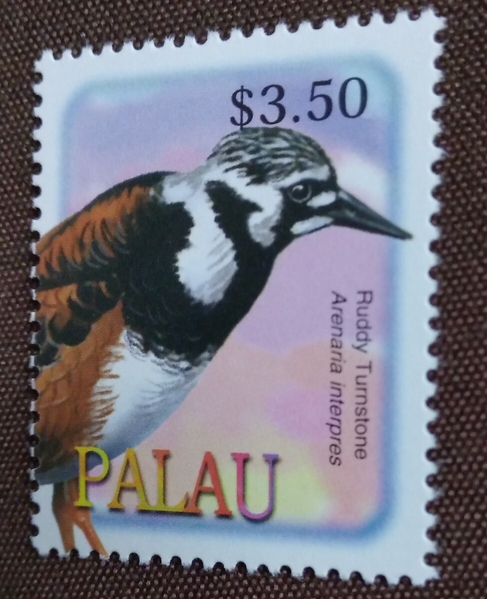 パラオ 2002 鳥 1種 シギバト 鳥類 トリ 自然 動物 未使用糊ありの画像3