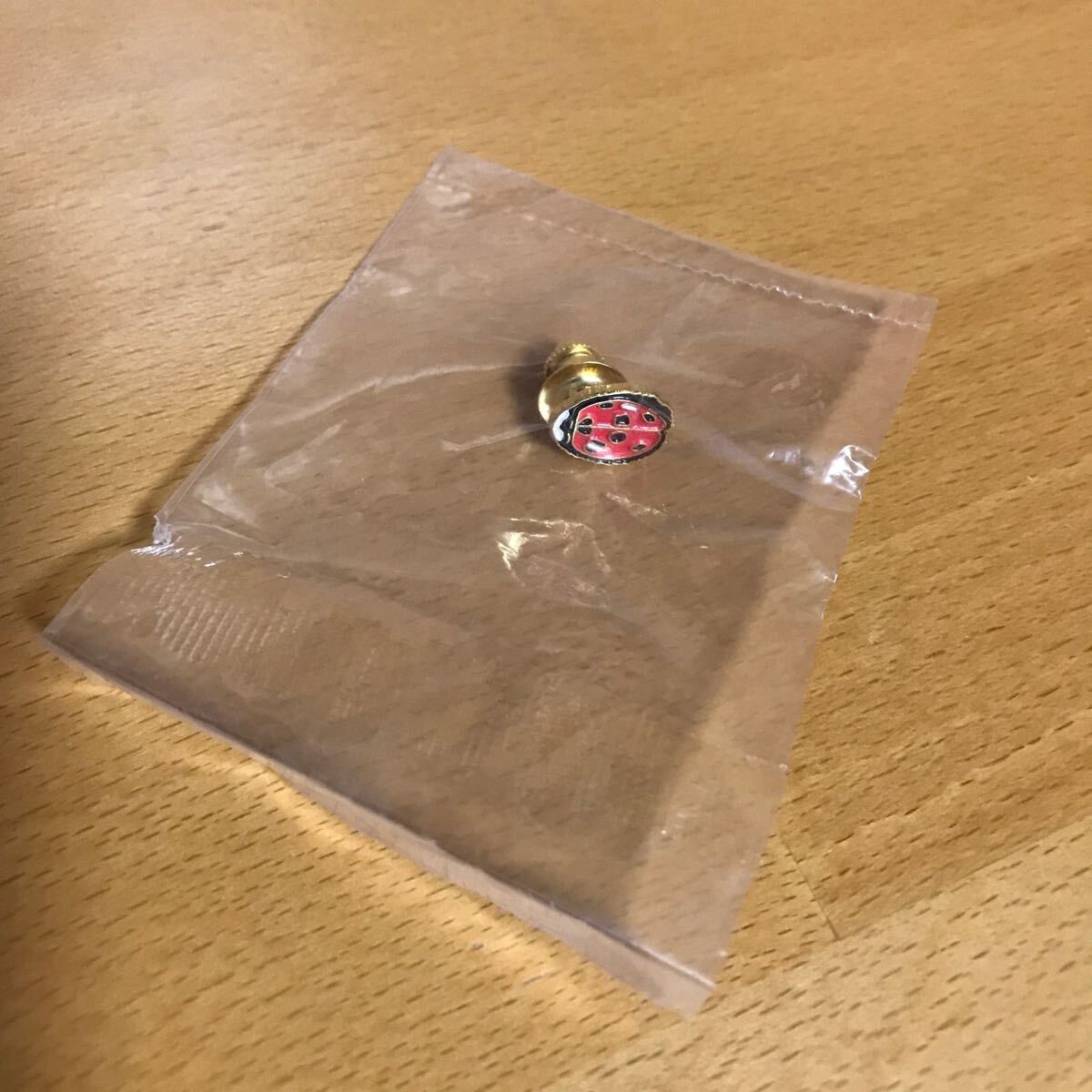Supreme 18SS Ladybug pin シュプリーム てんとう虫 ピン ピンズ ピンバッジ_画像1