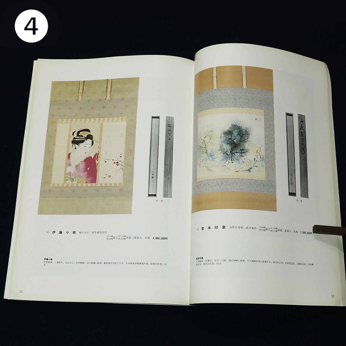 【日本古美術関連 No.1】日本画・南画など×4冊（応挙・呉春・酒井抱一・宋紫石・山本梅逸）の画像8