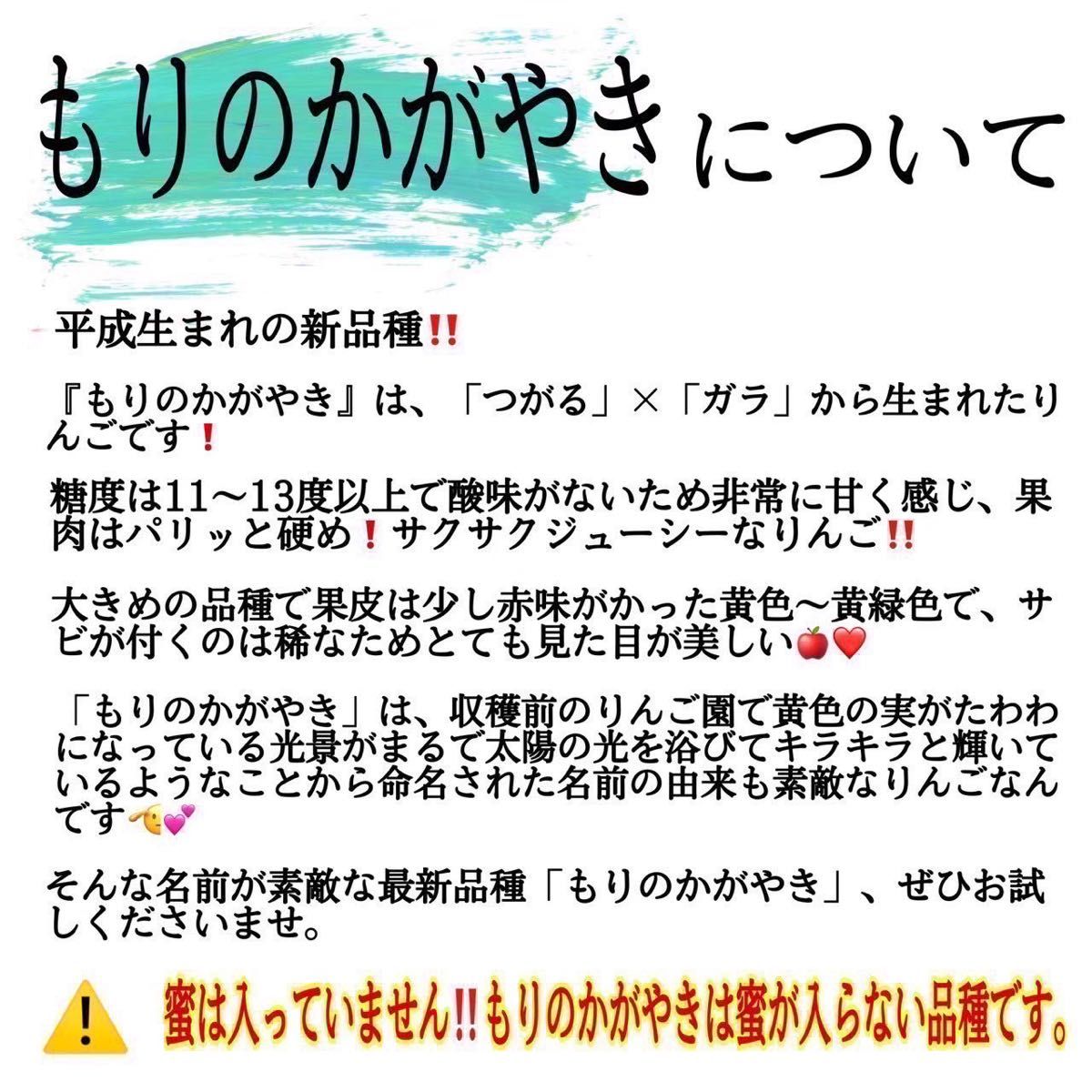 青森県産 最大5種ミックス りんご 家庭用 3kg 農家直送 リンゴ ふじ