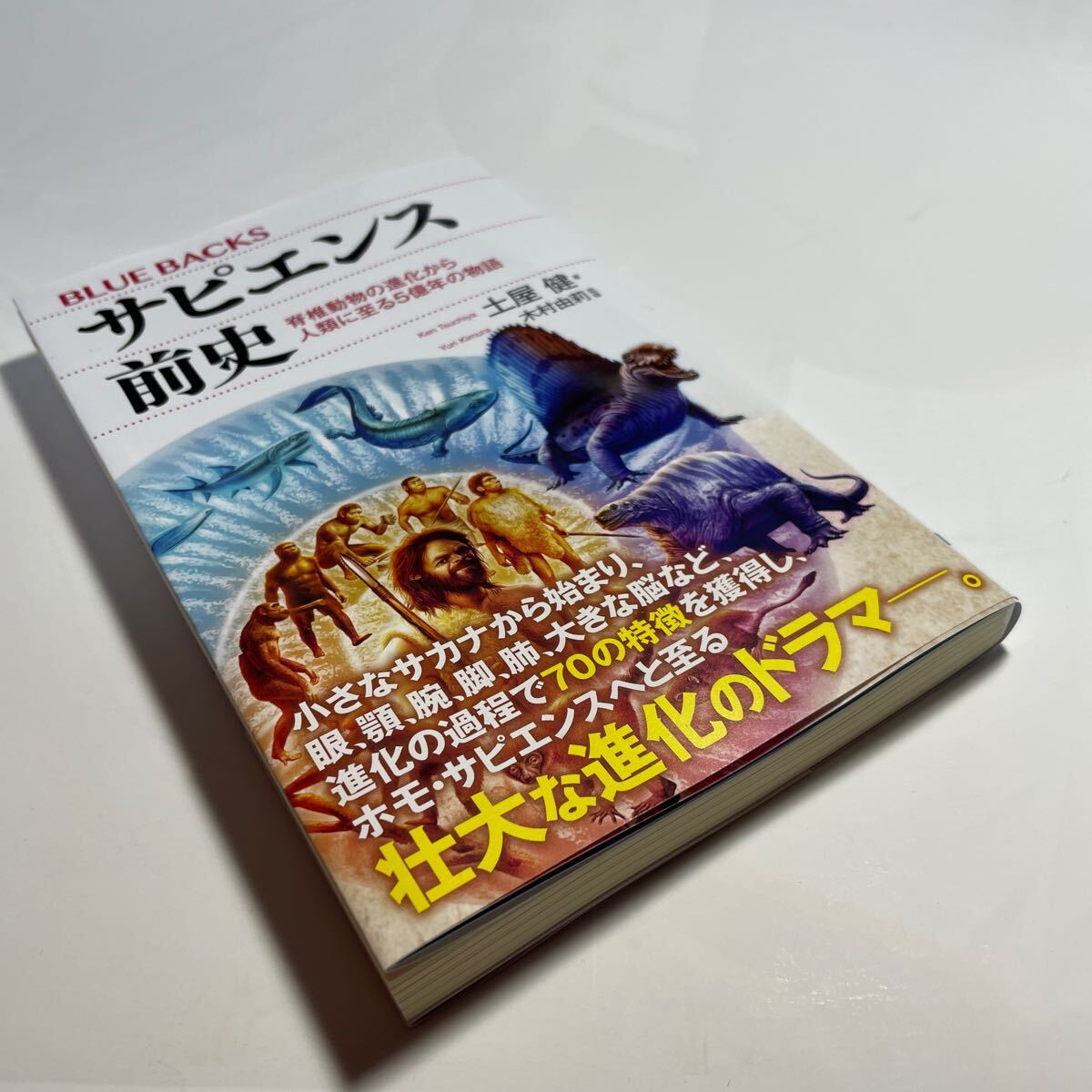 サピエンス前史　脊椎動物の進化から人類に至る５億年の物語 （ブルーバックス　Ｂ－２２５５） 土屋健／著　木村由莉／監修_画像6