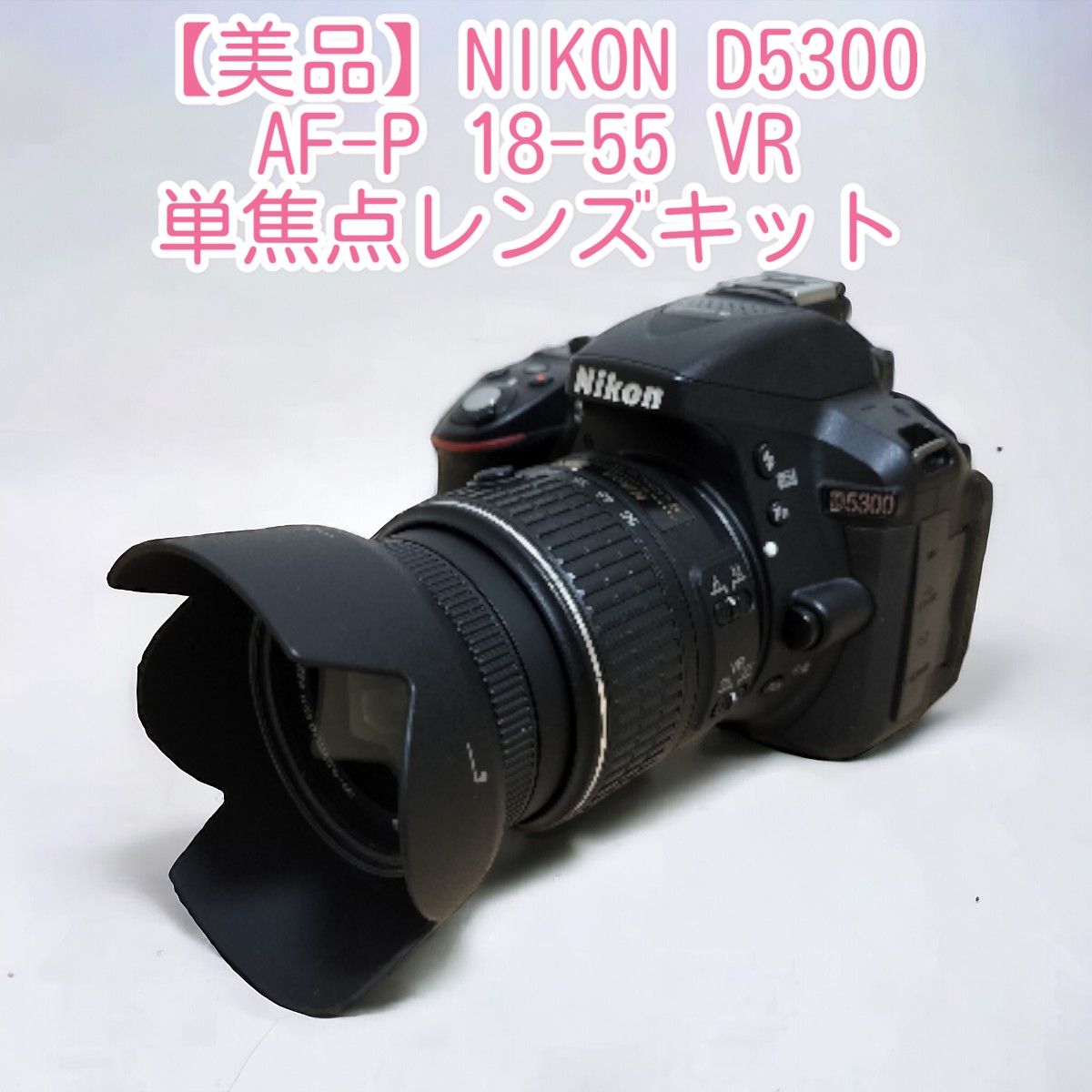 D5300 AF-P 18-55 VR 単焦点レンズキット