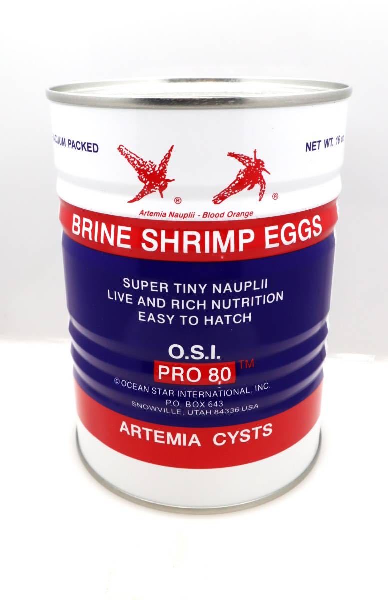  circle length free shipping![ top class! America salt Ray k production b line shrimp eg.. proportion 94~99% ]100g!