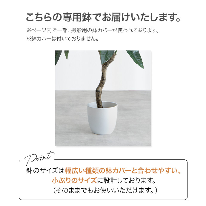 【送料無料】【高さ120cm】Nature 光触媒人工観葉植物　リラータ フェイクグリーン_画像9