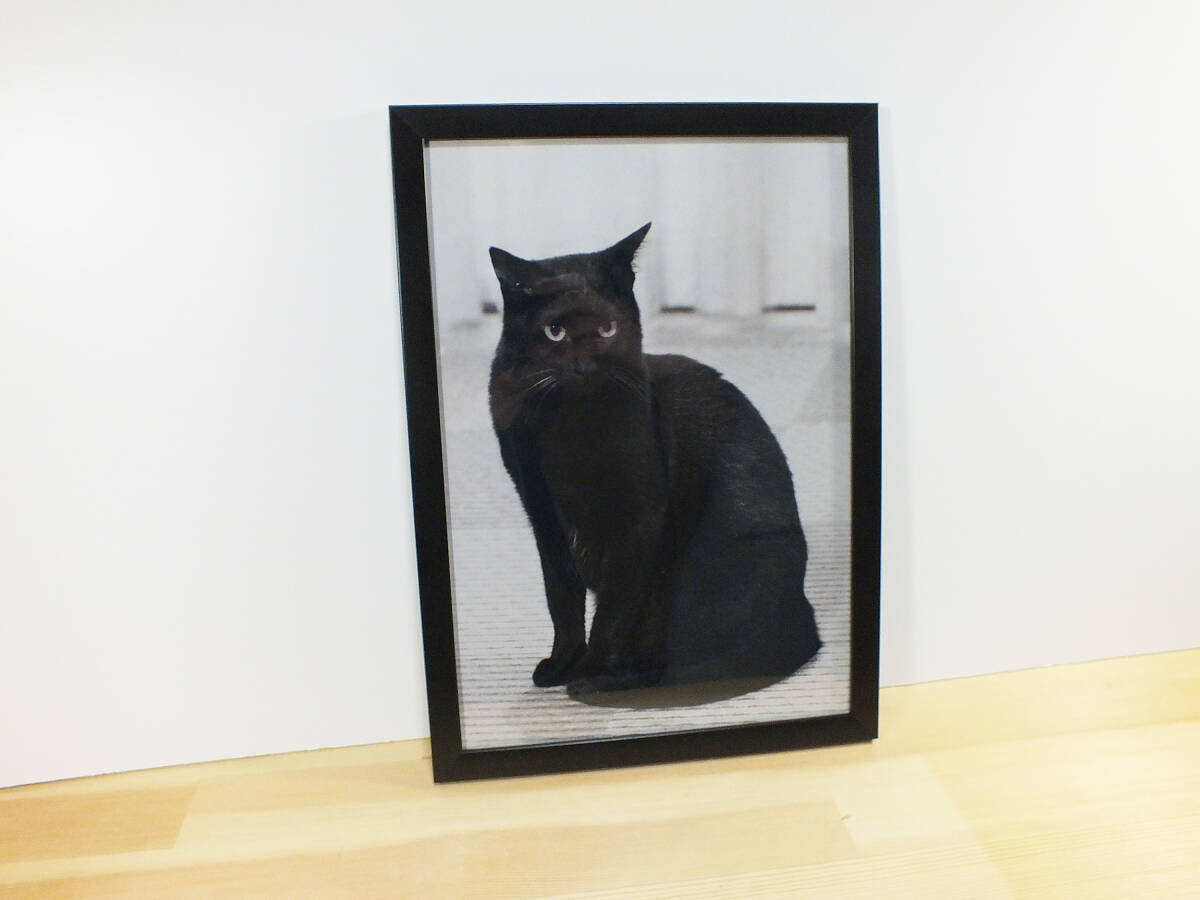 猫のアートポスター A4サイズ　モノトーン　モノクロ インテリア_画像1