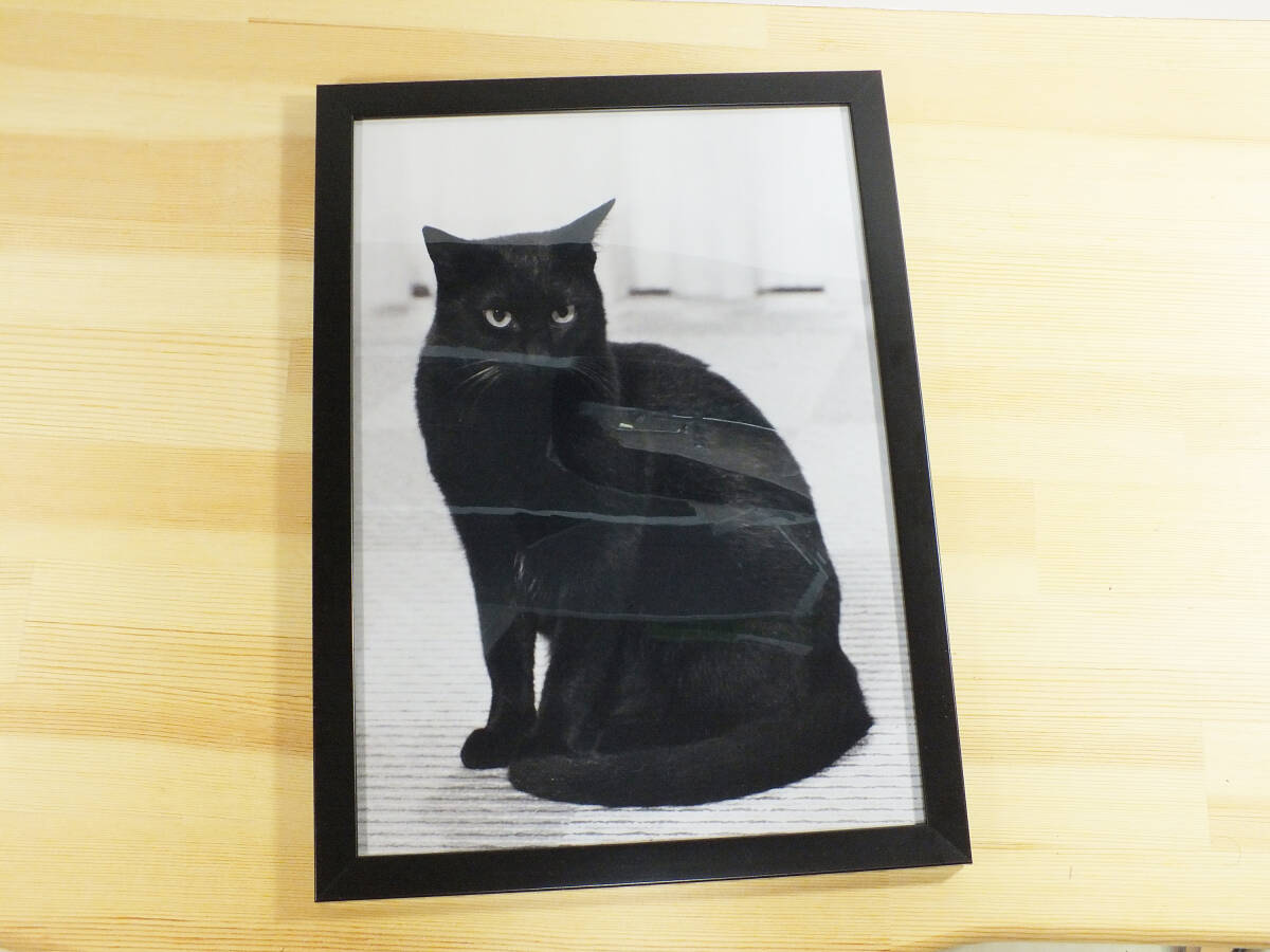 猫のアートポスター A4サイズ　モノトーン　モノクロ インテリア_画像4