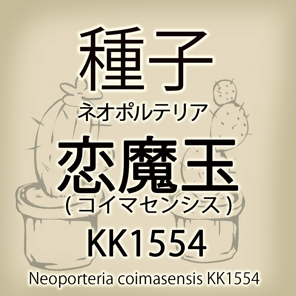 【輸入種子】ネオポルテリア・コイマセンシス（恋魔玉）Neoporteria coimasensis KK1554 エリオシケ Eriosyce サボテン 多肉植物(種108-15)_画像1