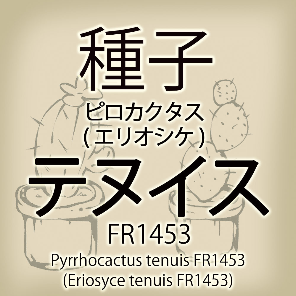 【輸入種子】ピロカクタス・テヌイス Pyrrhocactus tenuis FR1453 エリオシケ Eriosyce サボテン 多肉植物(種111-69)_画像1