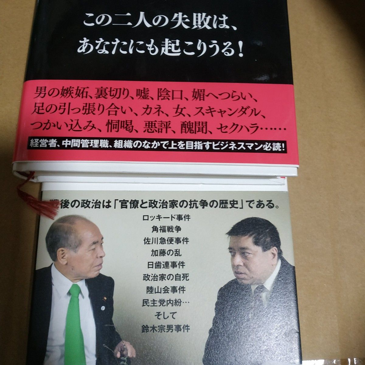 鈴木宗男+佐藤優 政治家抹殺 反省-私たちはなぜ失敗したのか 政治家抹殺 国家の罠 北方領土返還 外務省 田中真紀子 汚職