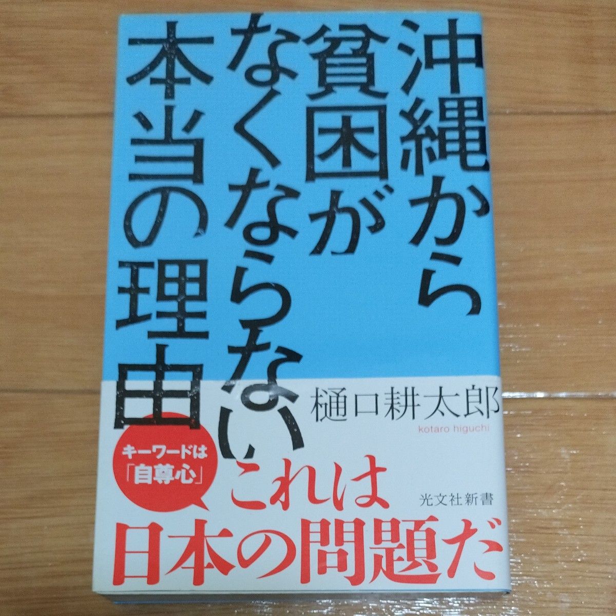 沖縄から貧困がなくならない本当の理由 （光文社新書　１０７２） 樋口耕太郎／著