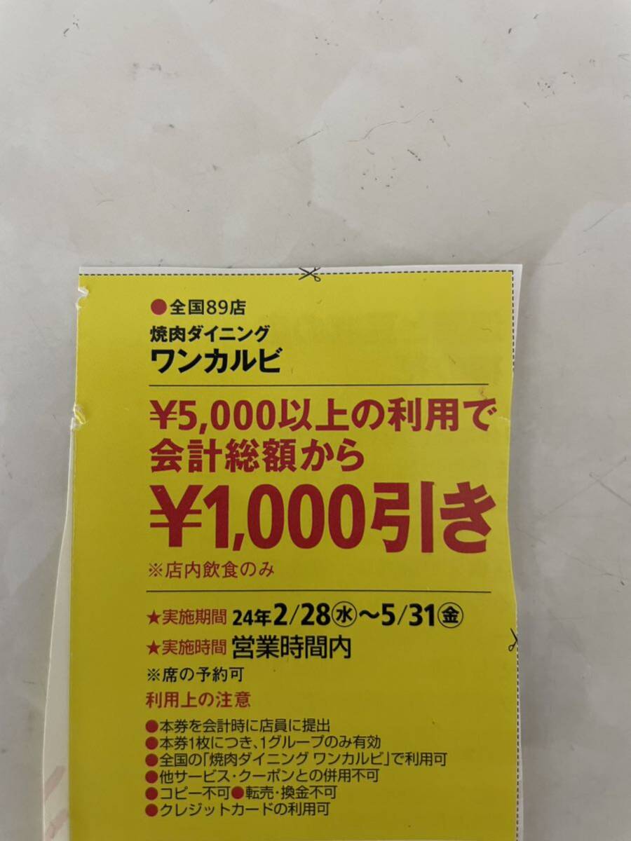 ☆ワンカルビ クーポン 送料63円 有効期限2024年5月31日 割引 食べ放題 バイキング しゃぶしゃぶ しゃぶ葉 温野菜 焼肉 キング きんのぶた_画像1