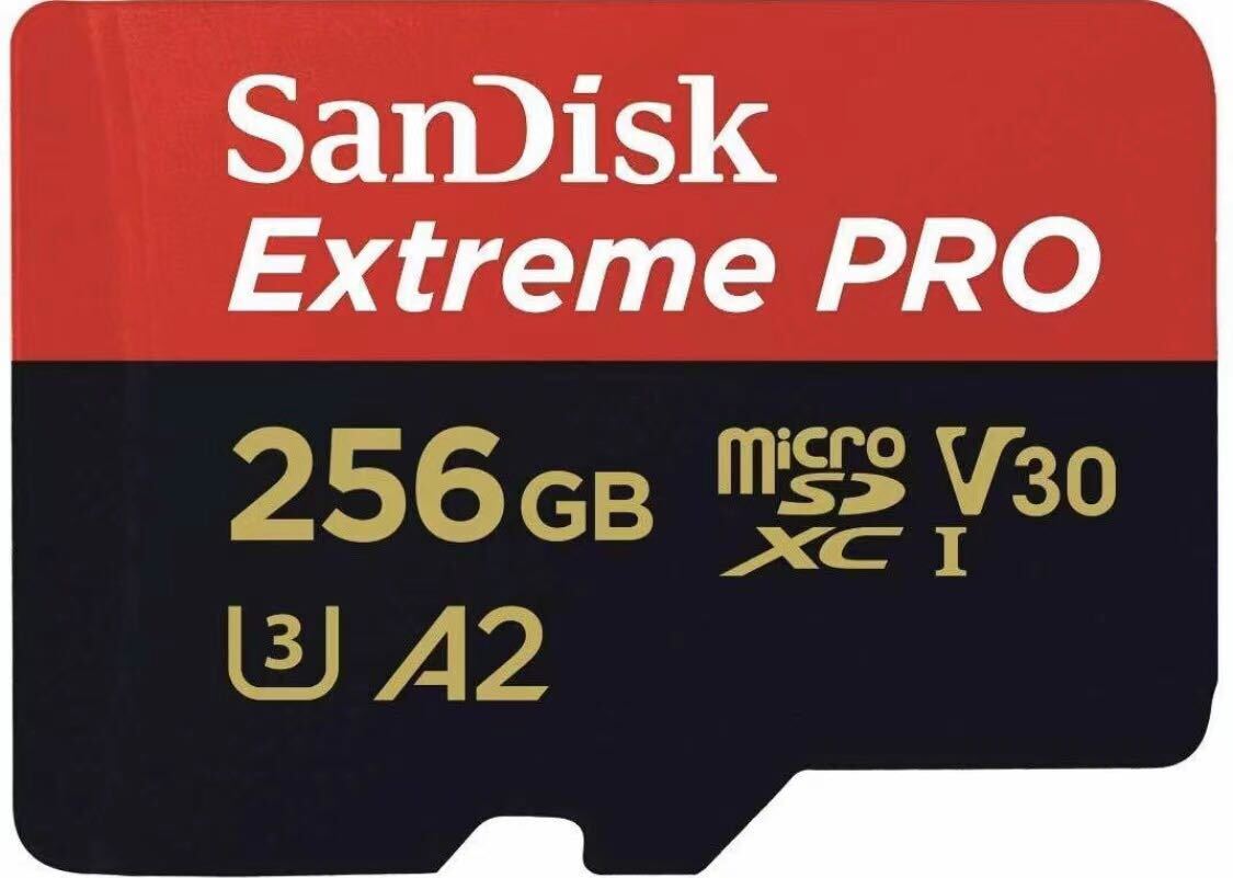 256GB　マイクロSD カード　micro SD card　 _画像1