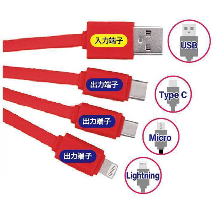 プーさん 充電ケーブル キーホルダー付き 3in1 入力端子 出力端子 Micro Type-C Lightning iPhone Android ディズニー くまのプーさん_画像6