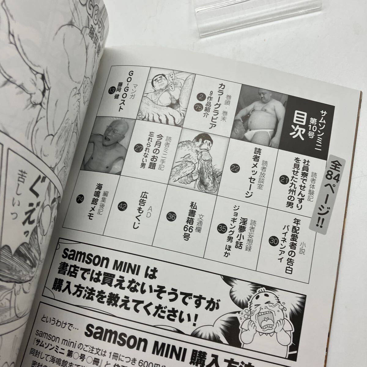 ゲイ雑誌 サムソン・ミニ SAMSON 2022年11月 ゲイコミック 藤岡健 瀬戸雄一 海鳴館 LGBT ホモ 同性愛の画像3